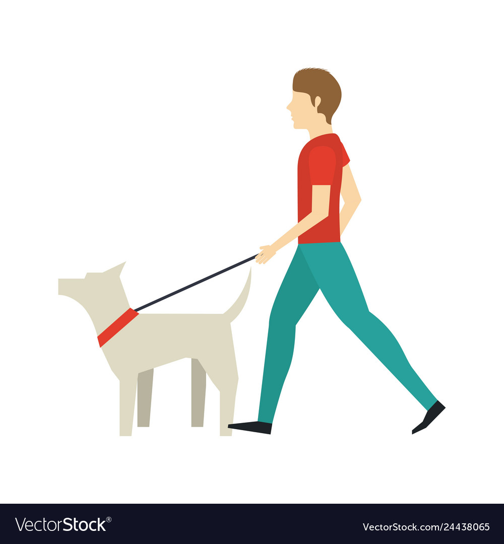 Walking the dog design Royalty Free Vector Image