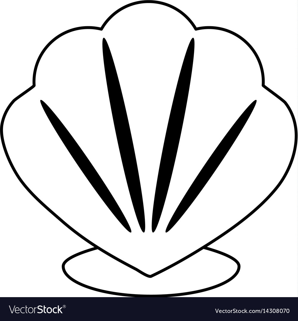 Conch or shell icon image