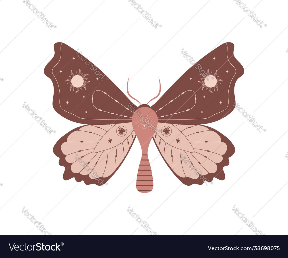 Boho butterfly insect with celestial elements