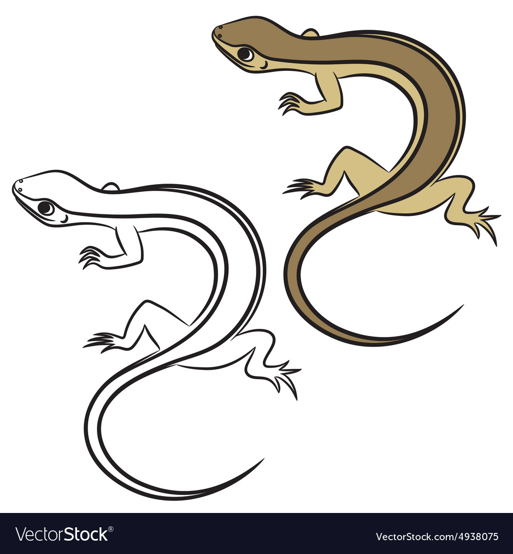 Little lizard Royalty Free Vector Image - VectorStock