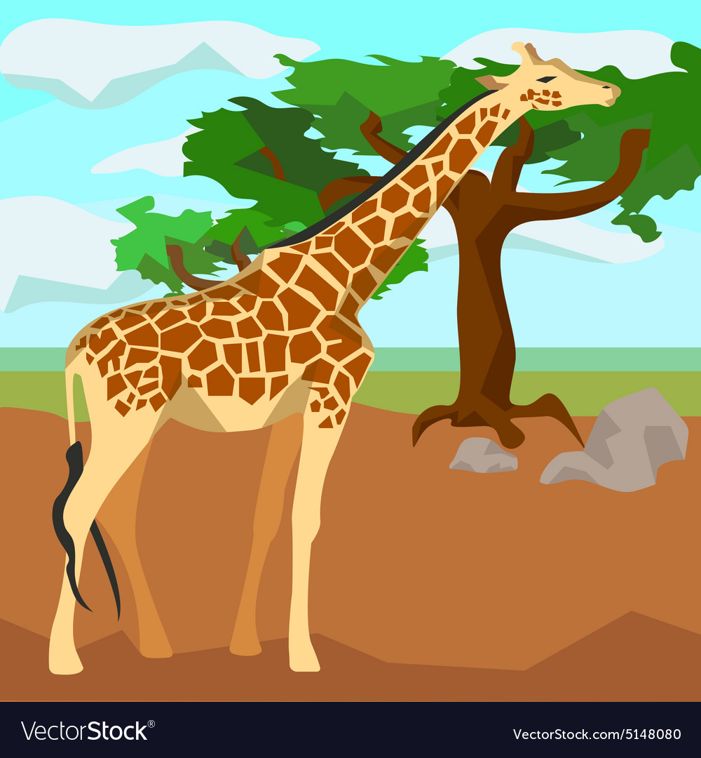 Giraffe On Background Trees Animals And Nature