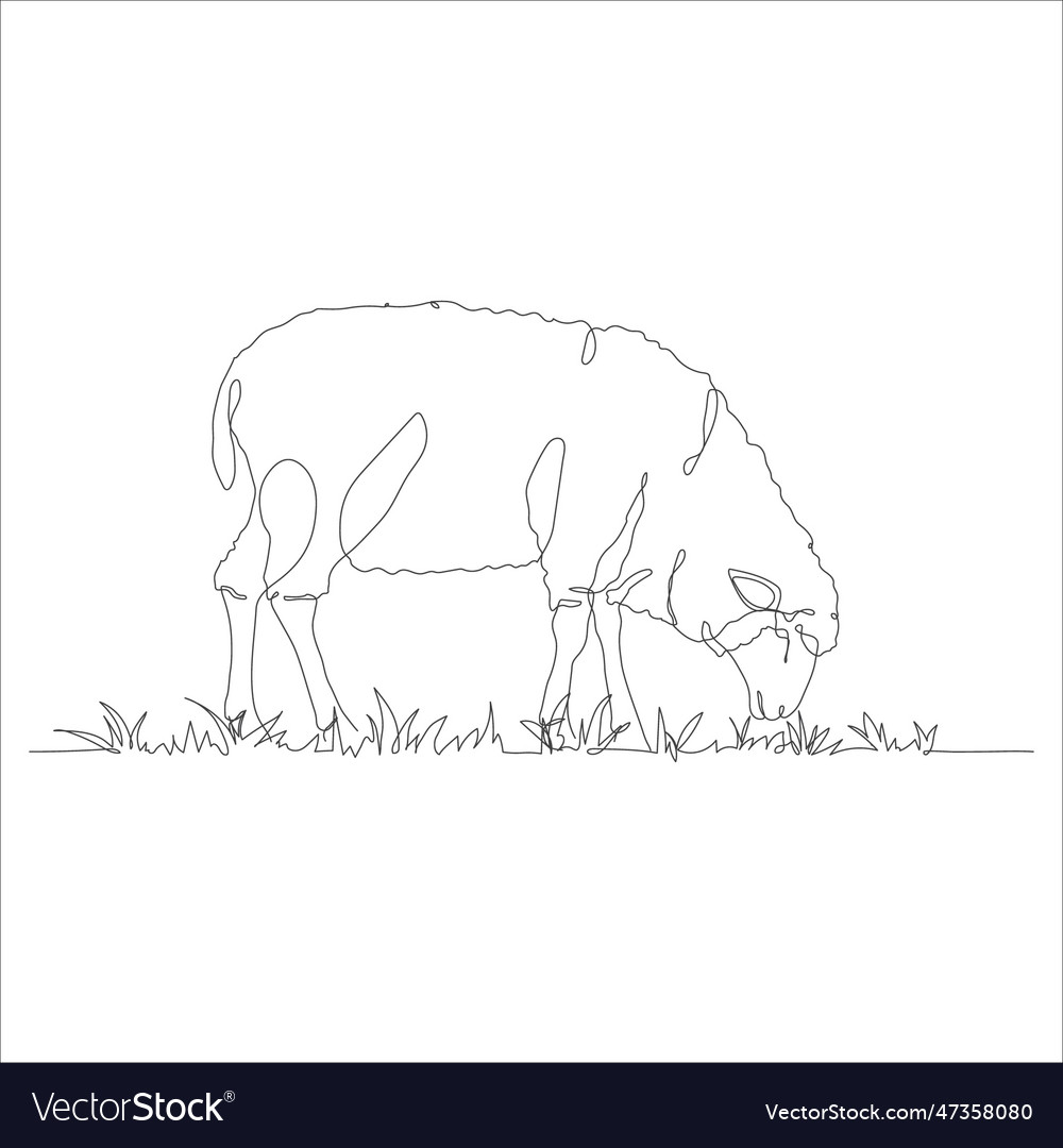 Sheep in one continuous line drawing
