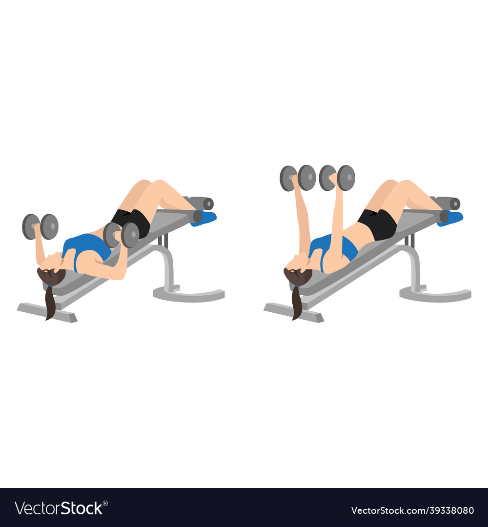 Decline bench dumbbell chest flys shop