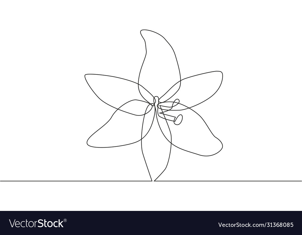 Continuous single drawn one line flower lily