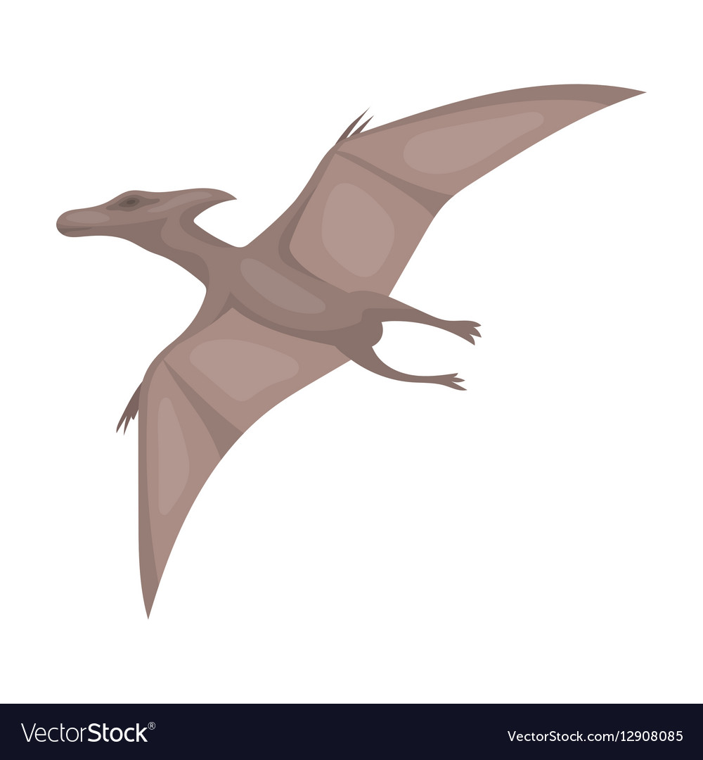 Dinosaur pterodactyloidea icon in cartoon style Vector Image