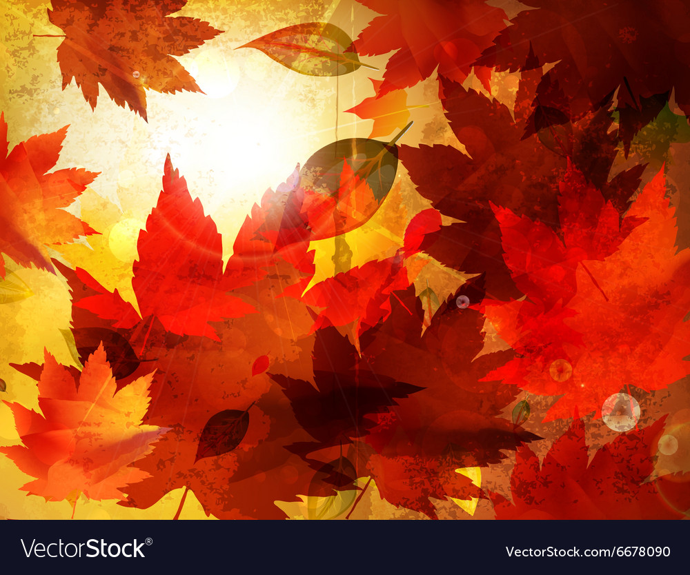 Abstract autumn background