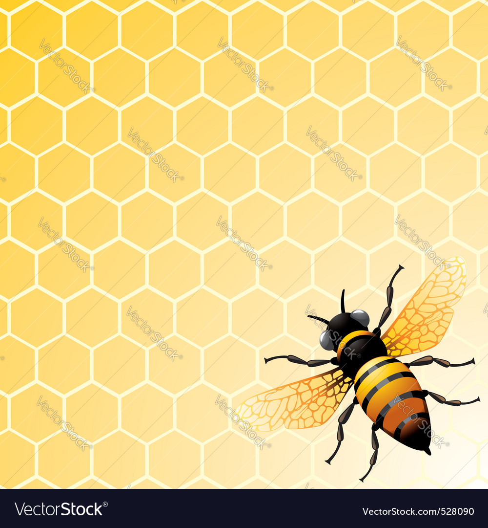 Bee On Honeycomb Royalty Free Vector Image Vectorstock 9392