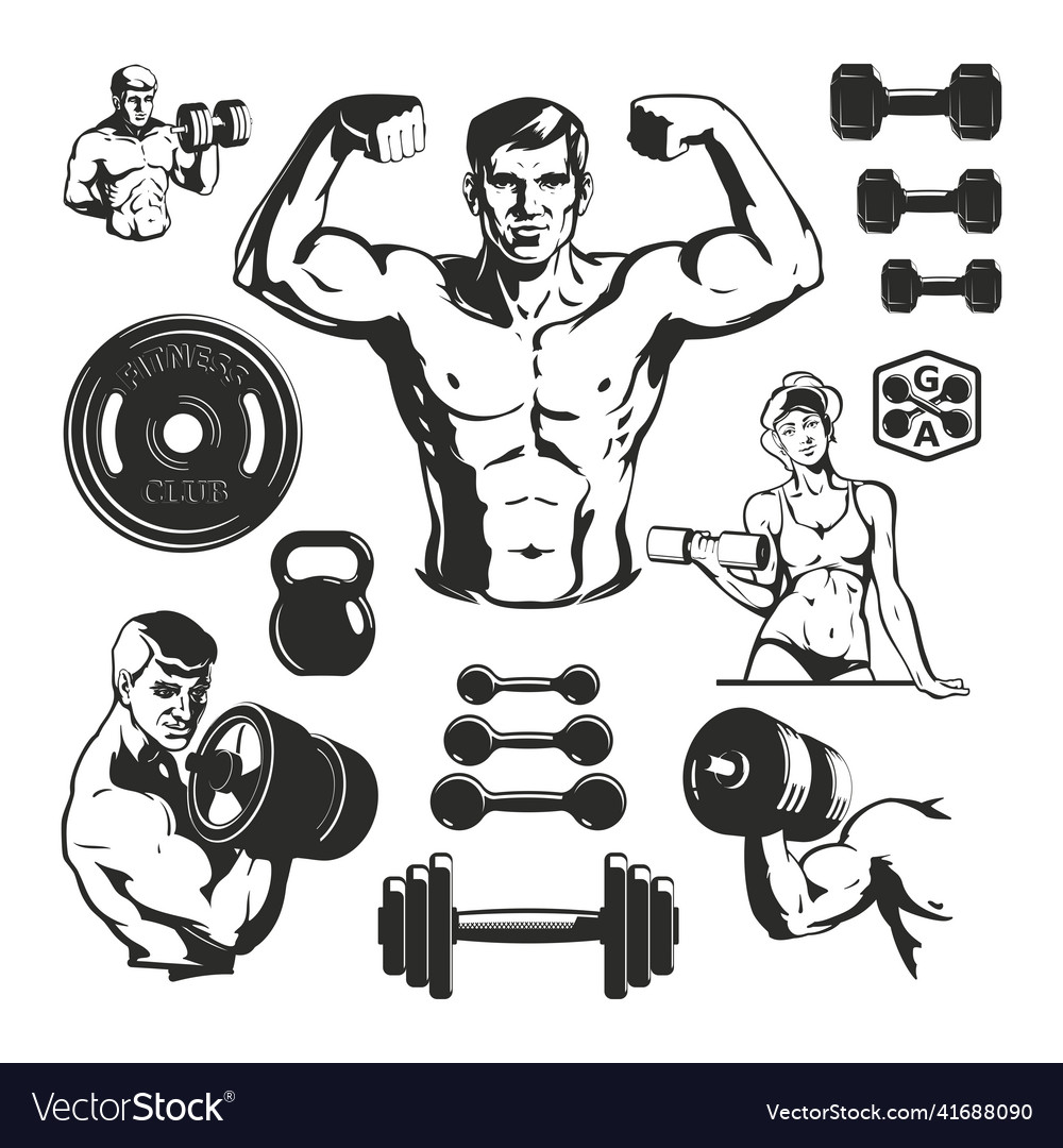 Gym fitness elements set Royalty Free Vector Image