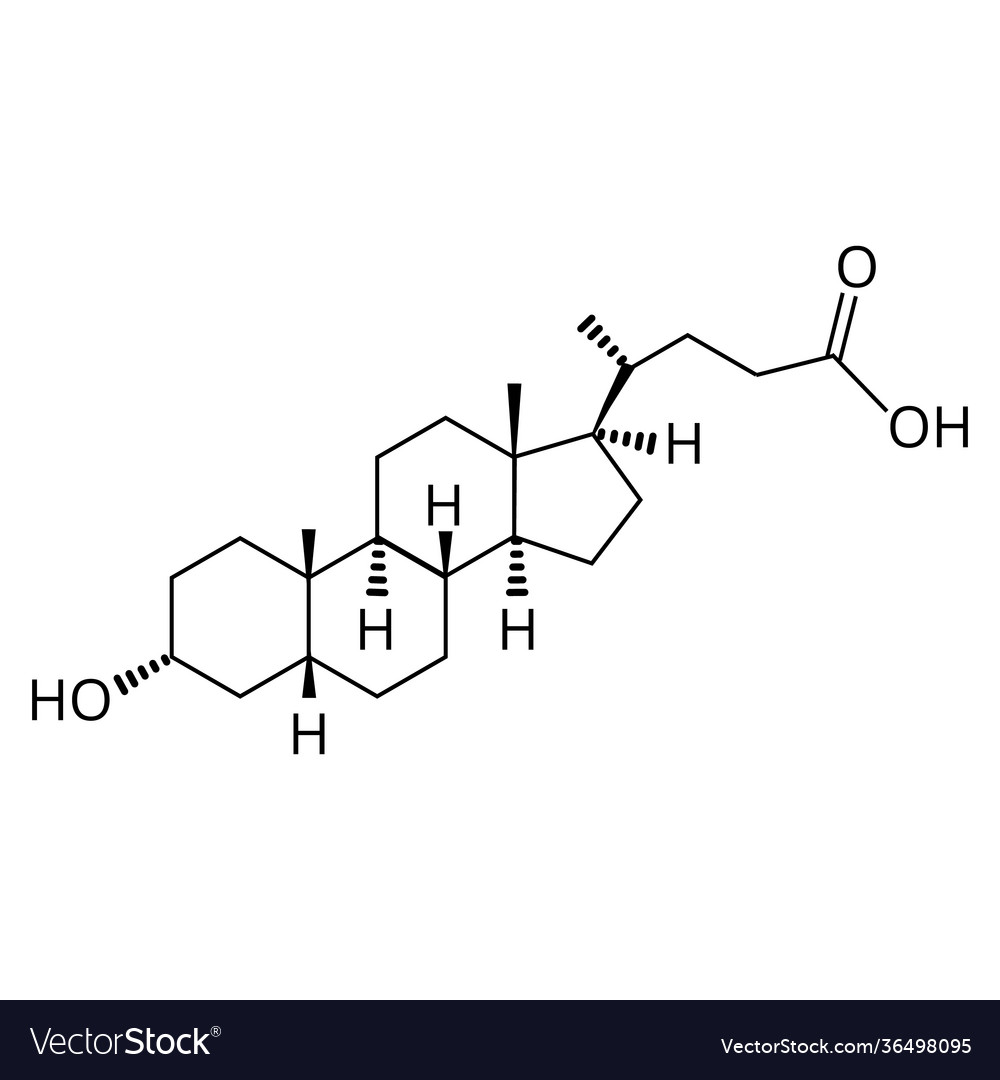 Lithocholic acid bile chemical molecular