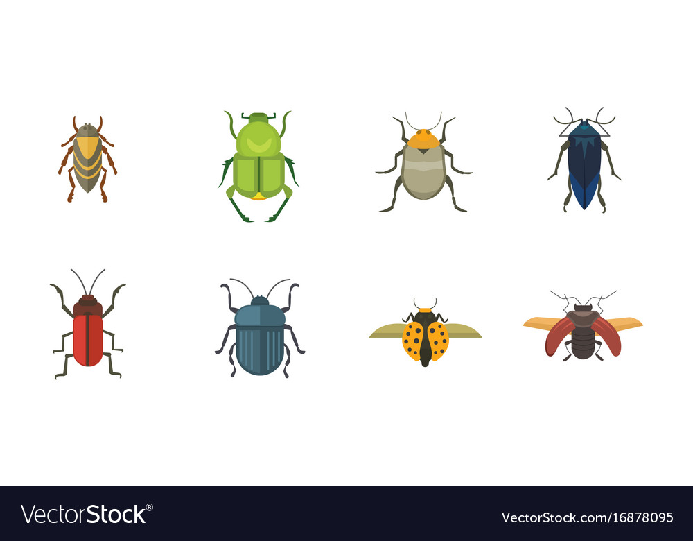 Set of insects flat style design icons