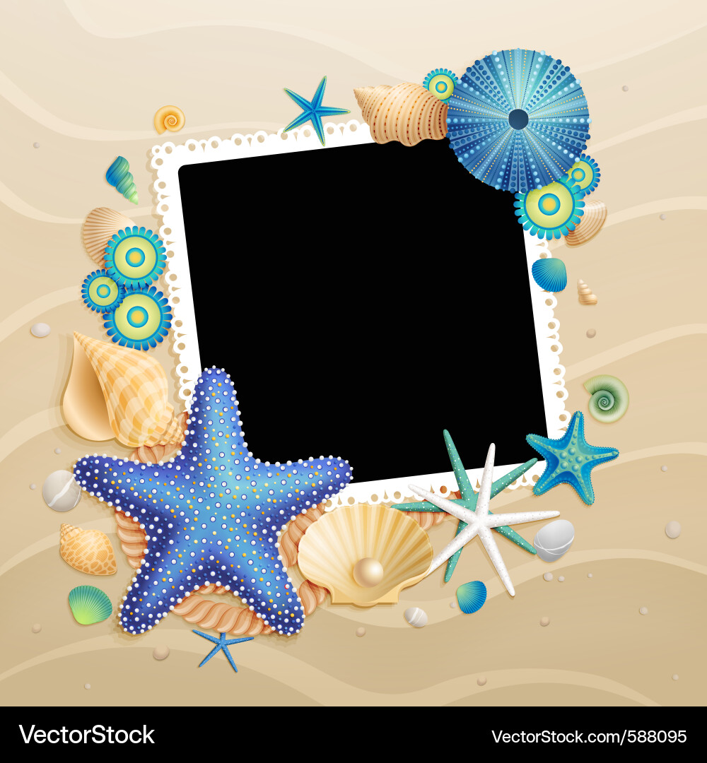 Shells and starfishes Royalty Free Vector Image