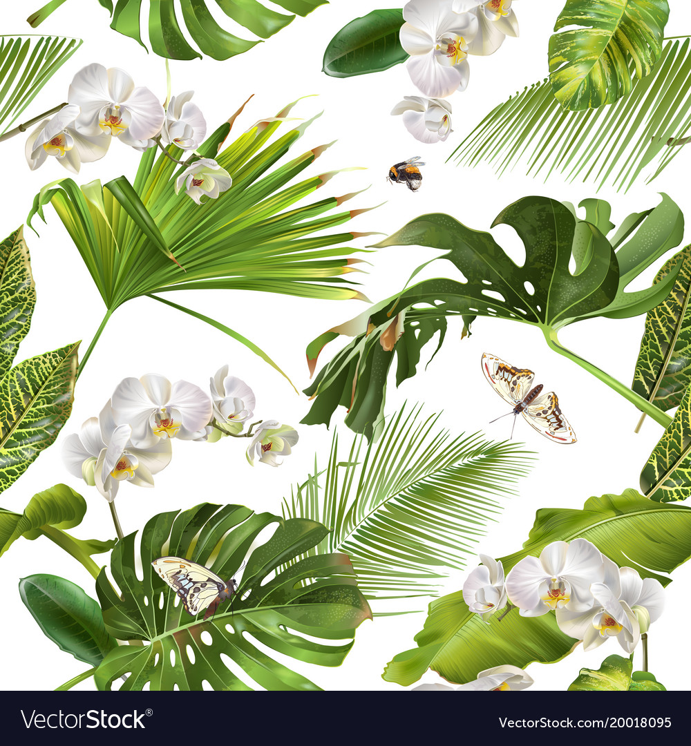 Tropical orchid white pattern