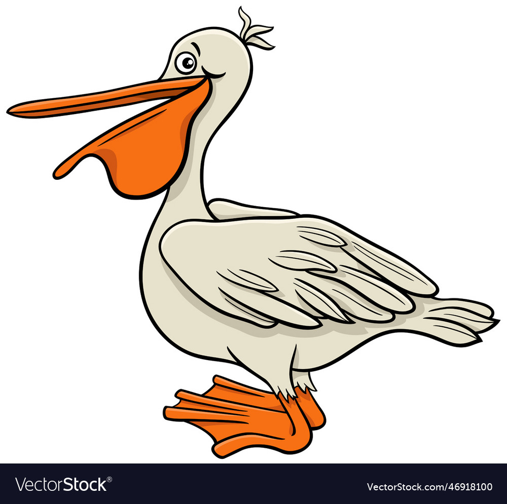 Pelican bird animal character cartoon Royalty Free Vector