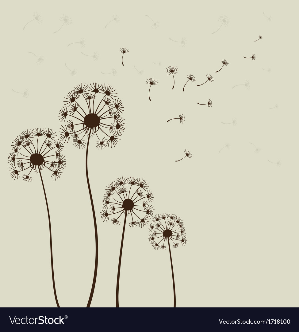 Stylized dandelions Royalty Free Vector Image - VectorStock