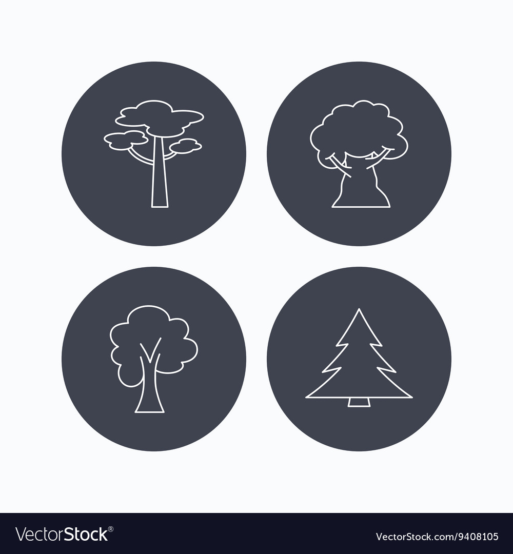 Pine tree maple and oak-tree icons