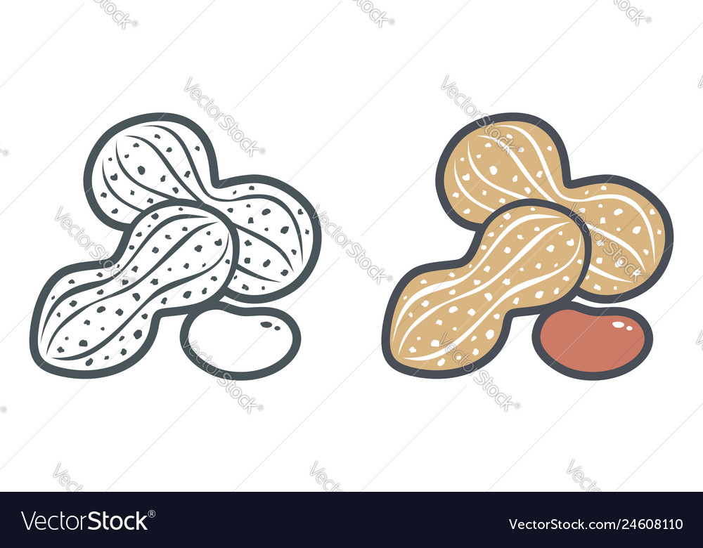 Flat icons peanut Royalty Free Vector Image - VectorStock