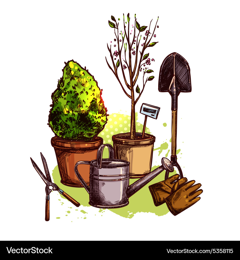 Garden tools set Royalty Free Vector Image - VectorStock
