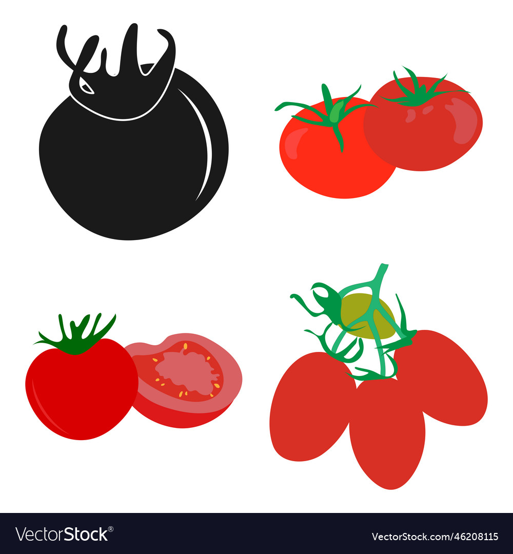 Tomato fruit icon