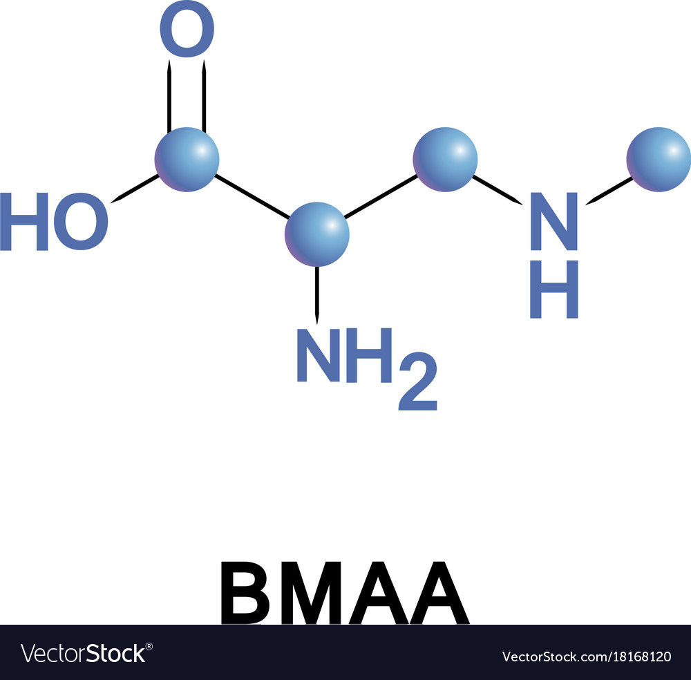 Beta-methylamino-l-alanine or bmaa Royalty Free Vector Image