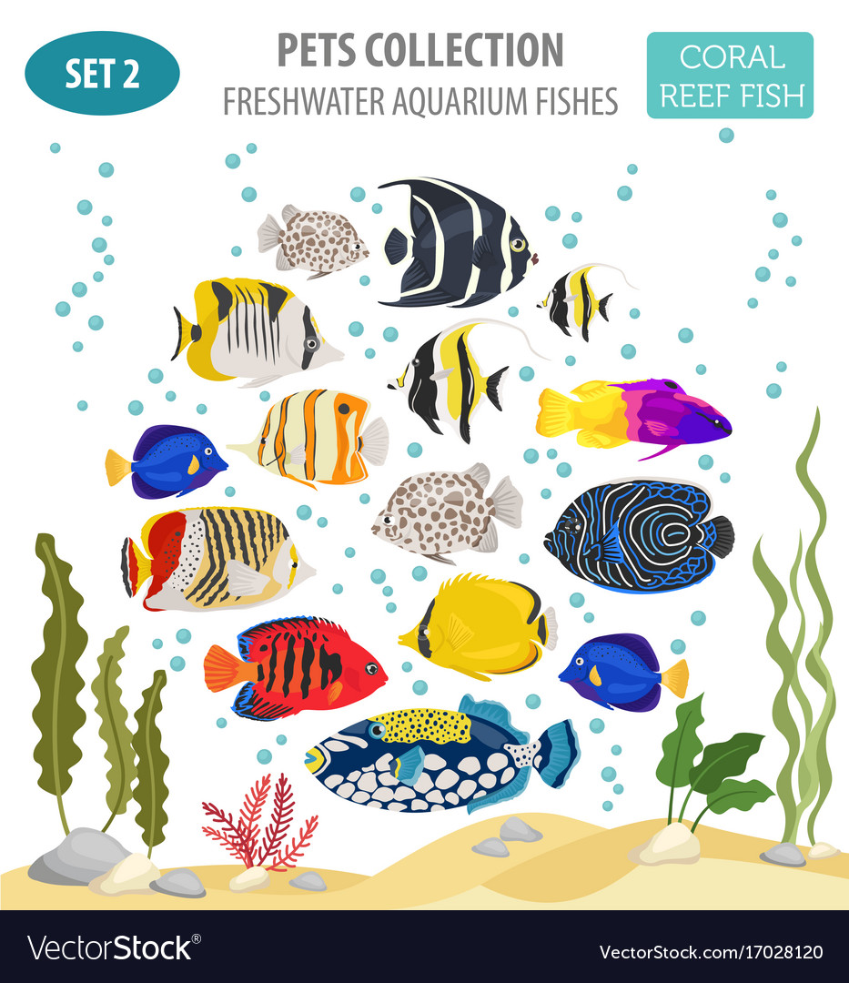 Freshwater aquarium fish breeds icon set flat