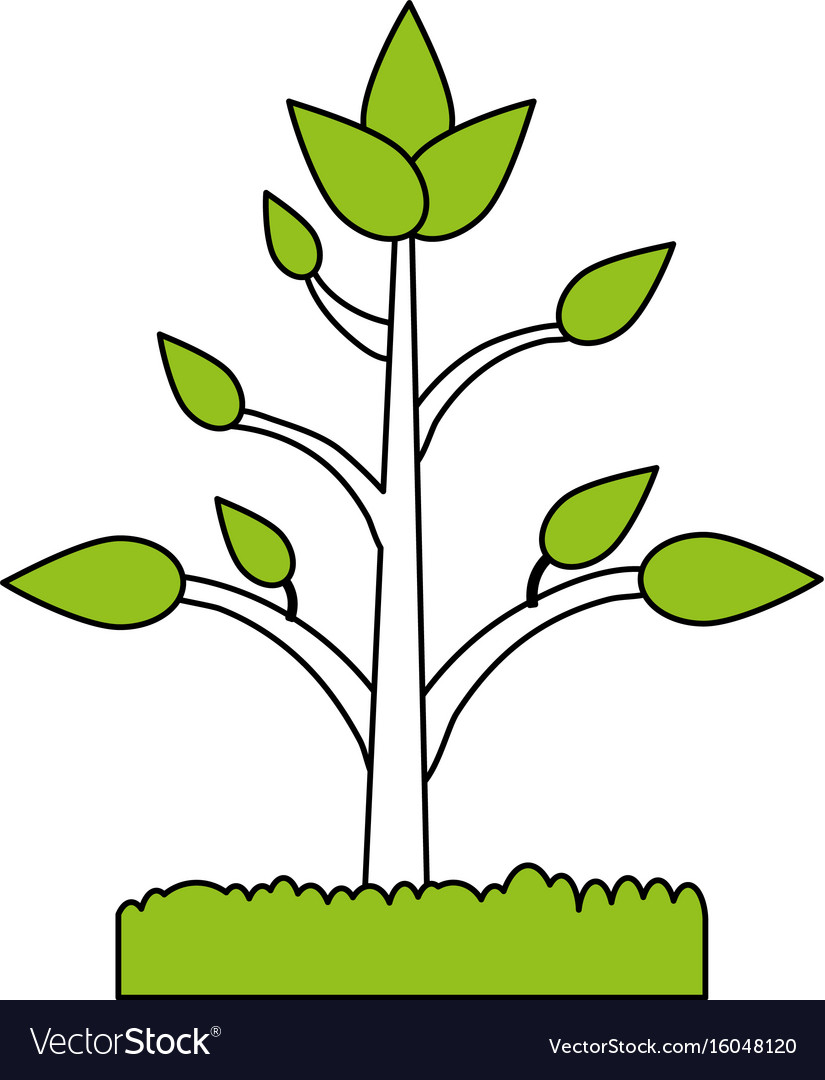 Plant in soil icon image