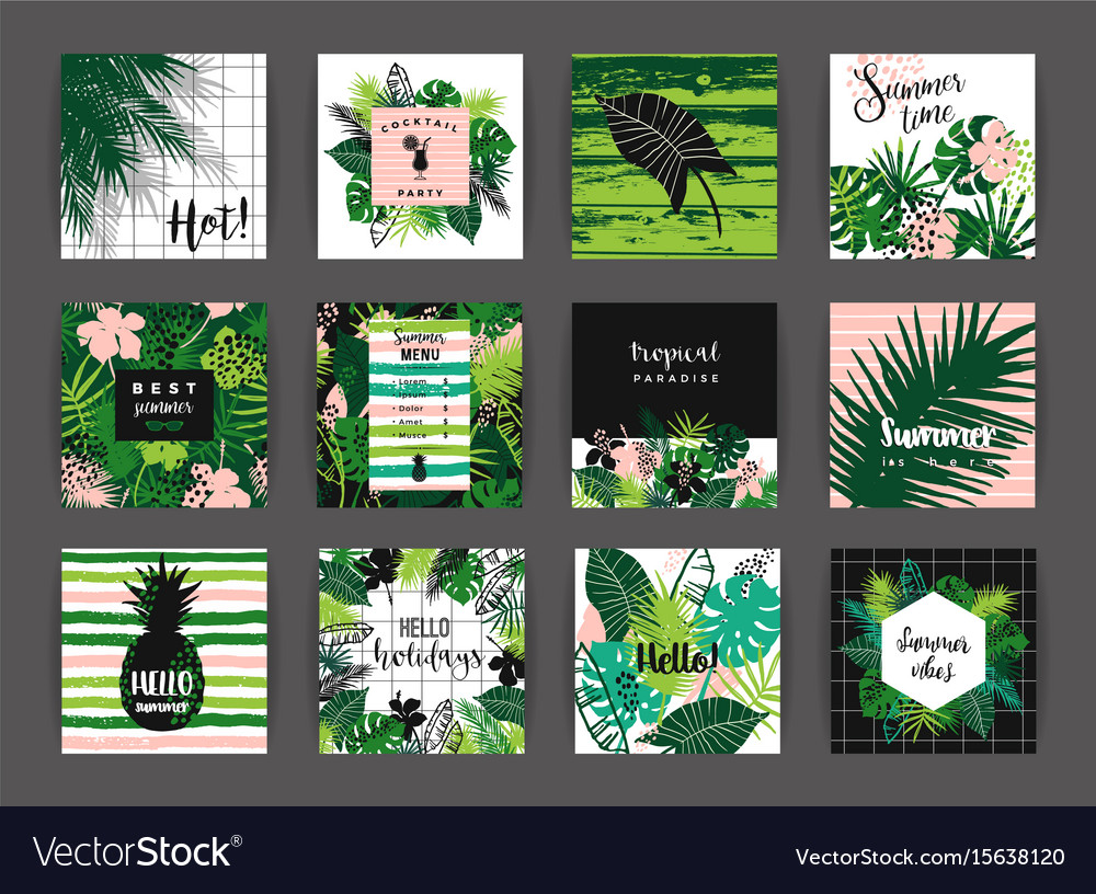 Set of summer tropical designs templates