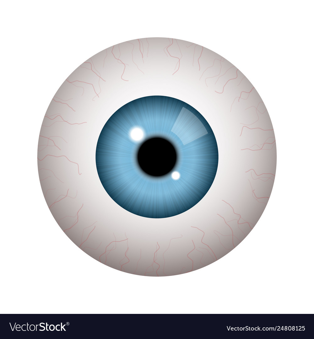 Realistic human eyeball Royalty Free Vector Image