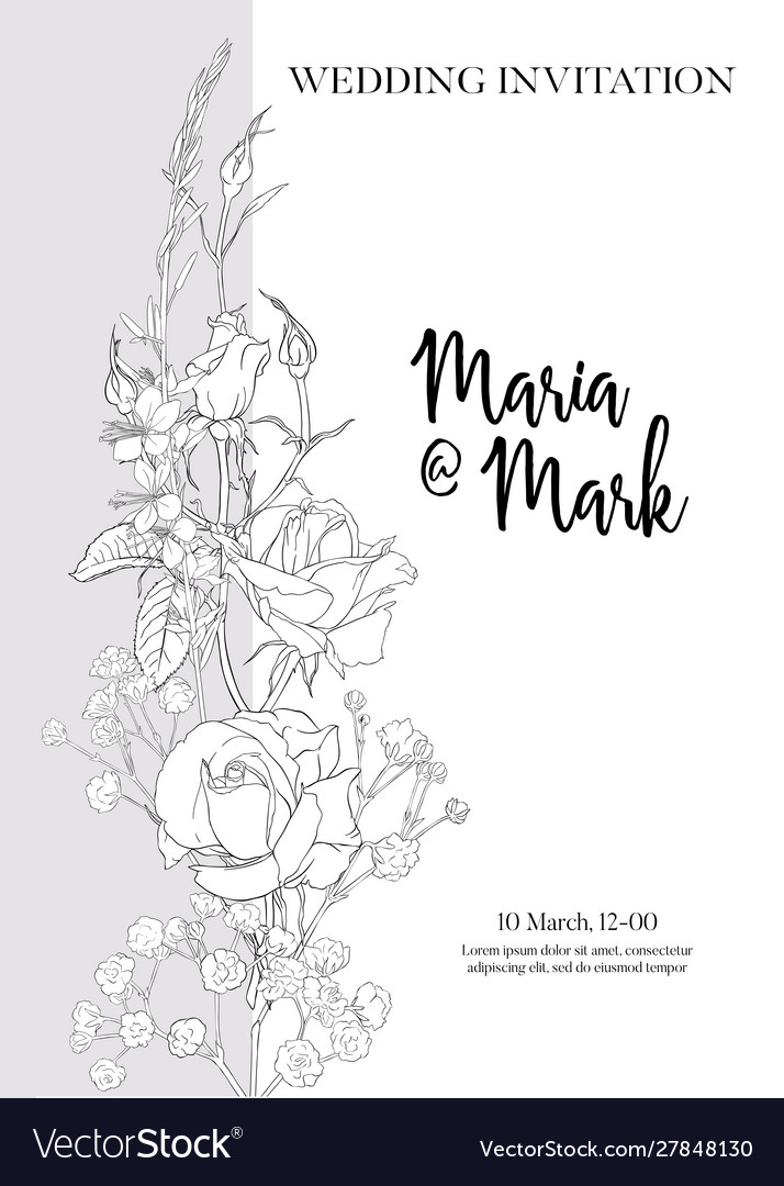 Wedding invitation with white roses and spring vector image Wedding invitation with white roses and spring