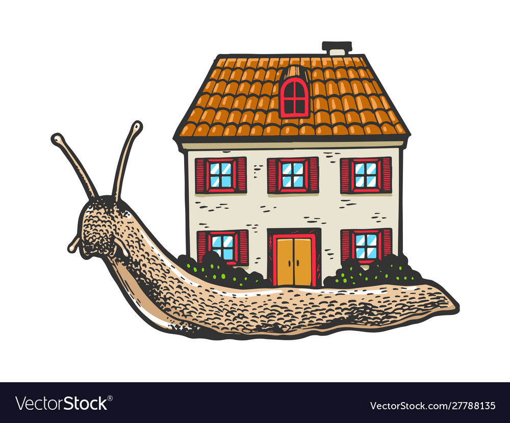 Snail with house instead shell sketch Vector Image Snail with house instead shell sketch