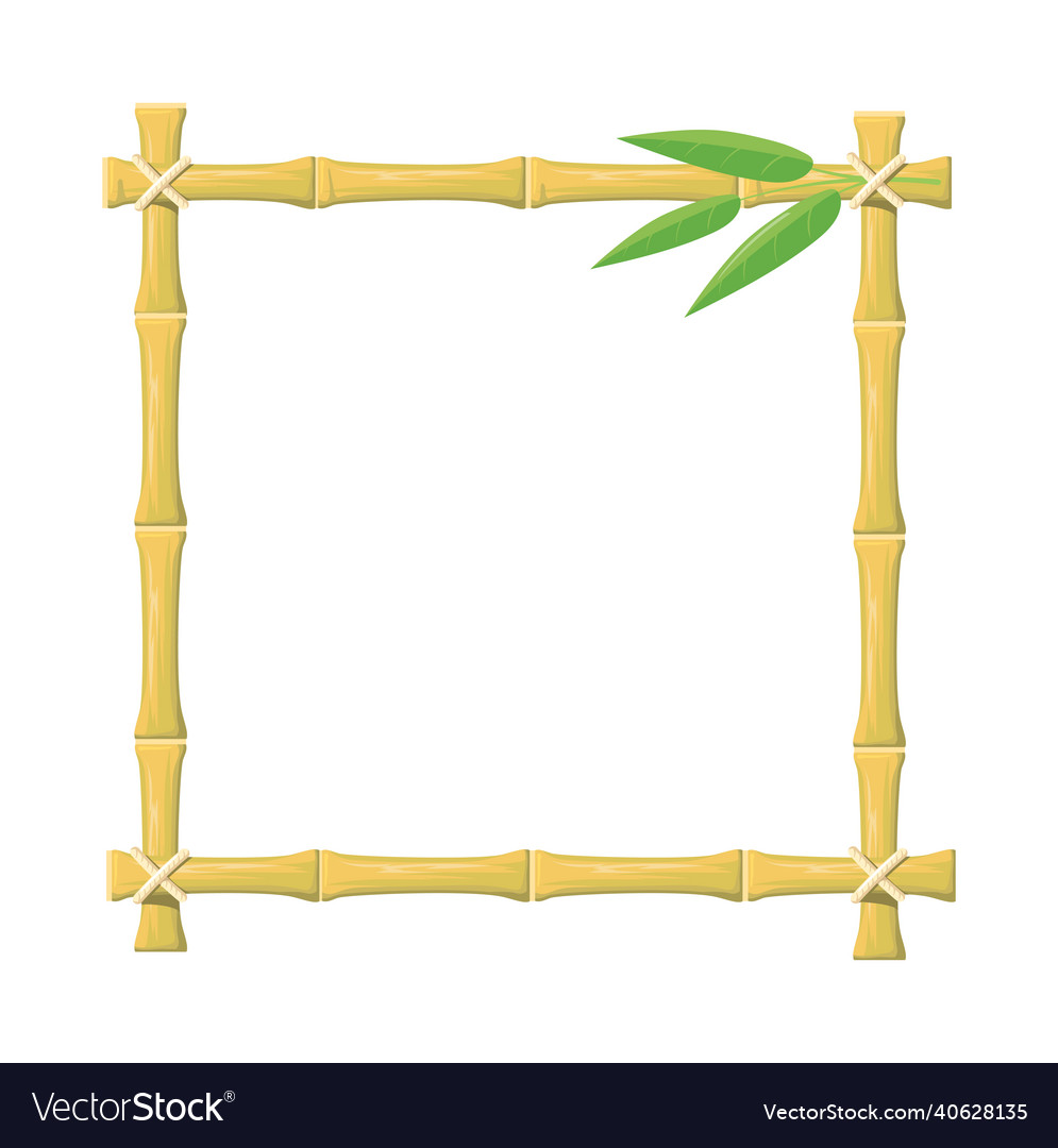 Square bamboo frame blank pattern for summer Vector Image