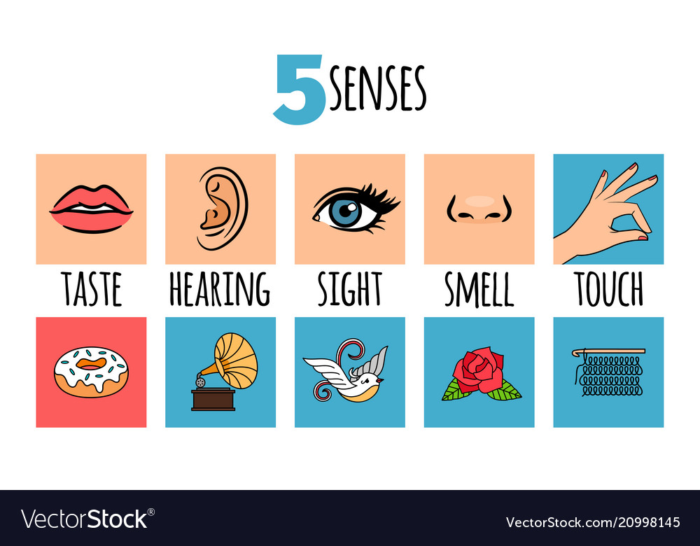 Five Sensory Images