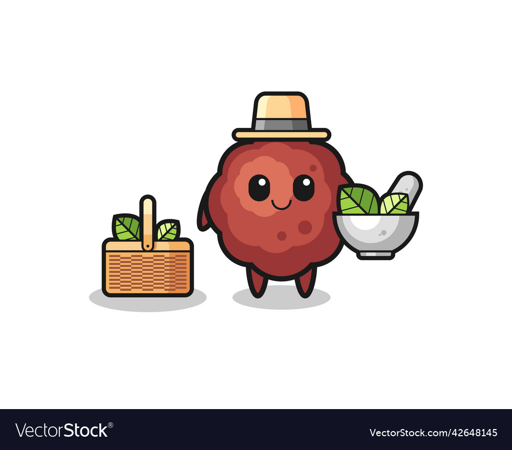 Meatball herbalist cute cartoon