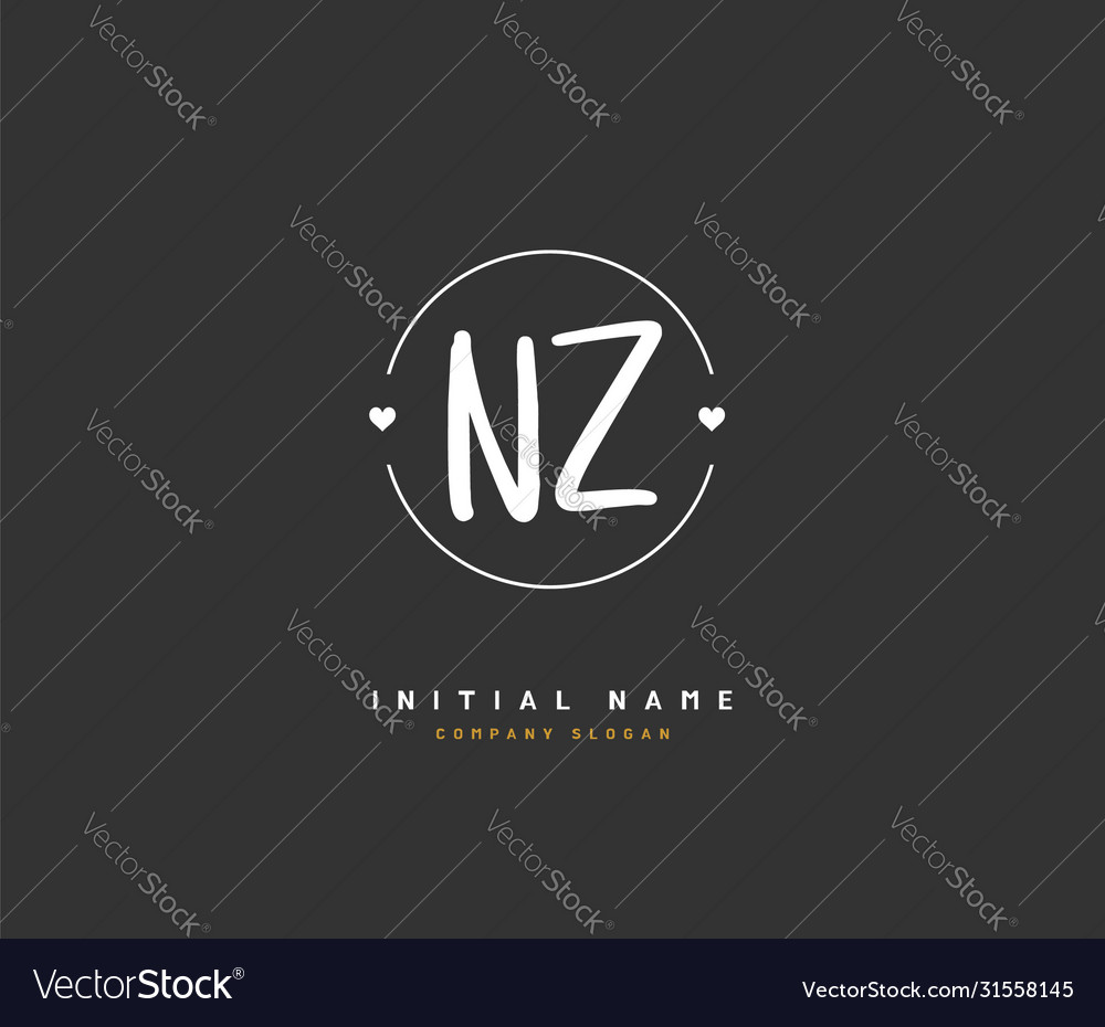 N z nz beauty initial logo handwriting logo Vector Image