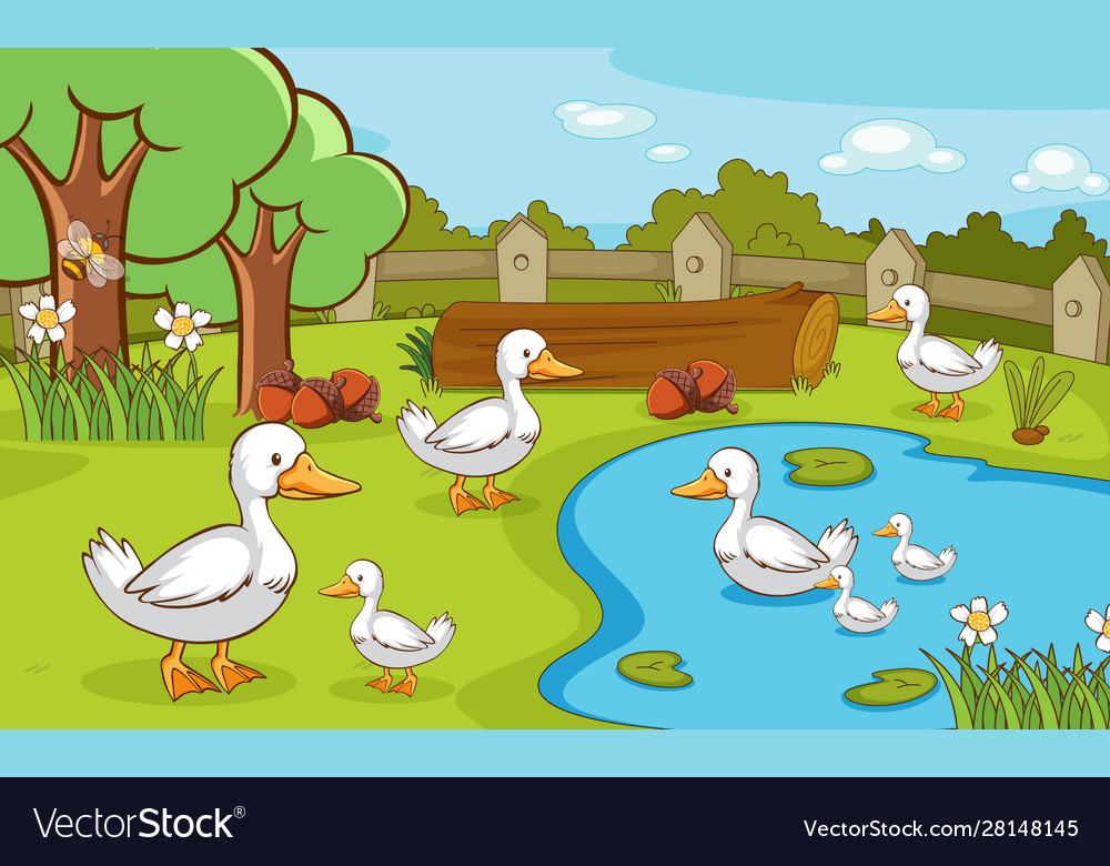 scene-with-ducks-in-pond-royalty-free-vector-image