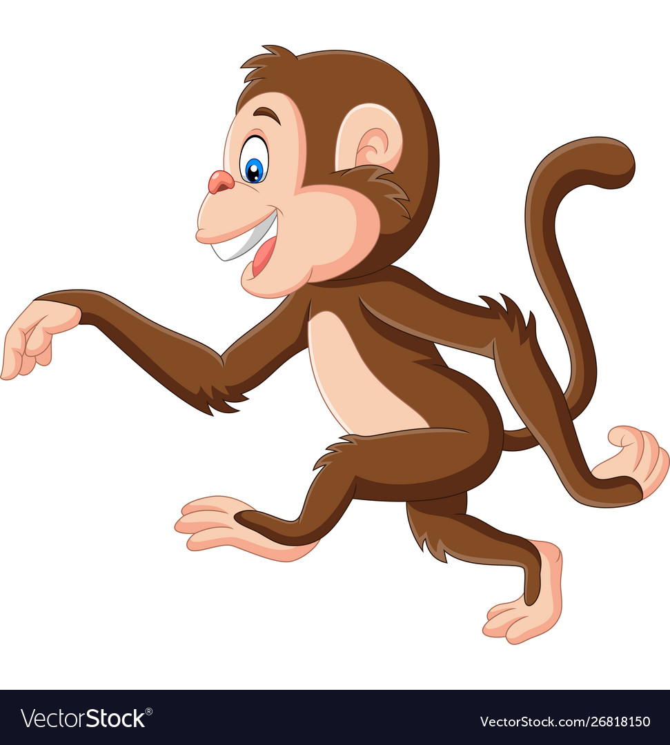 Cartoon funny monkey walking on white background Vector Image