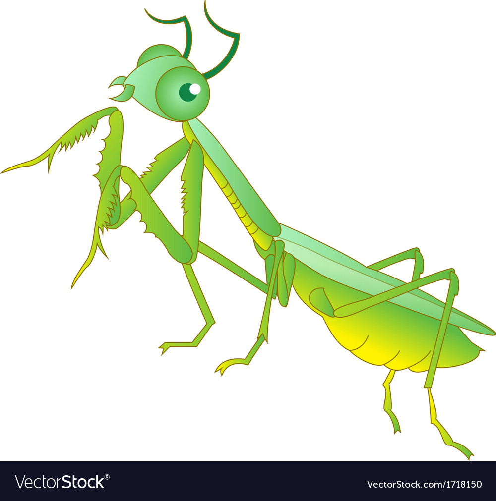 Praying mantis grasshopper cartoon