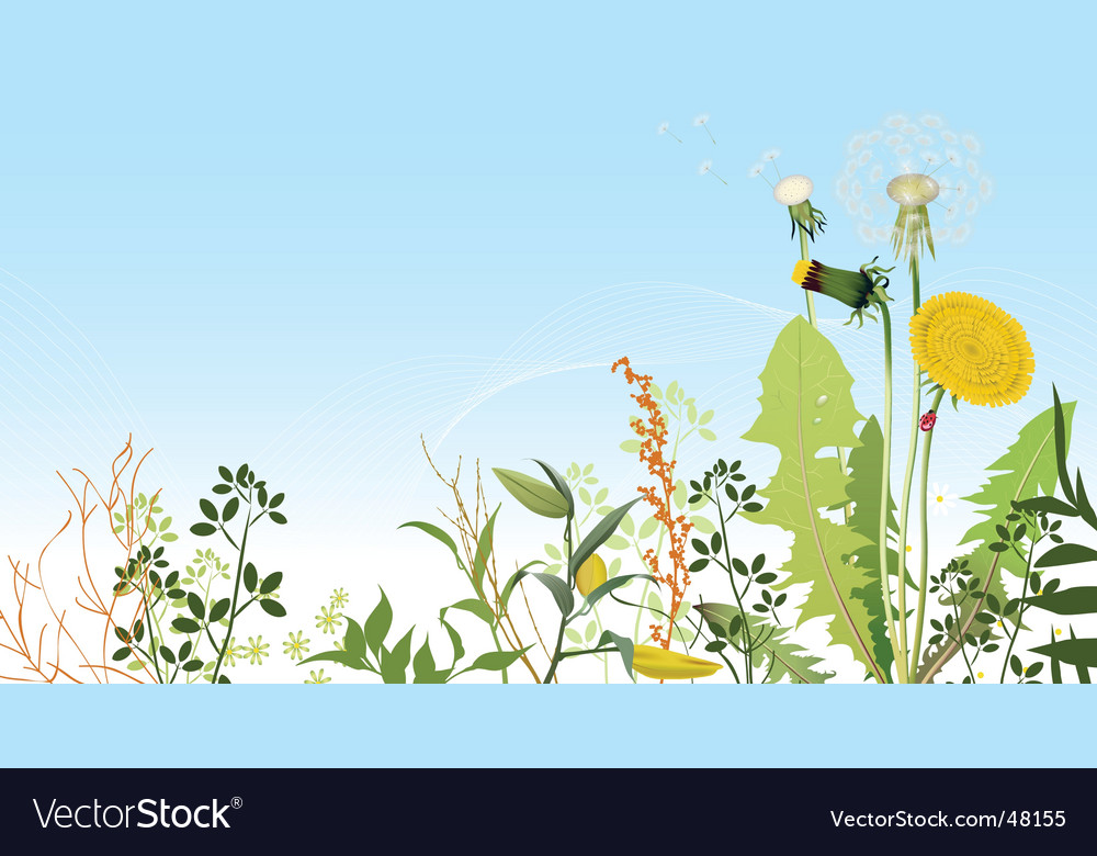 Serene Spring Meadow