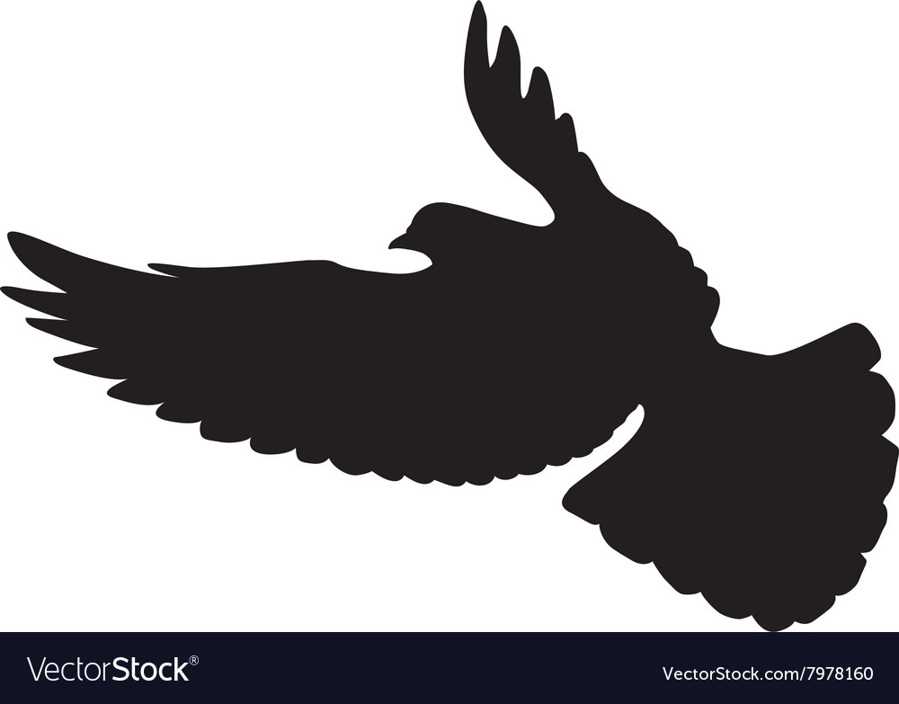 Dove Royalty Free Vector Image - VectorStock