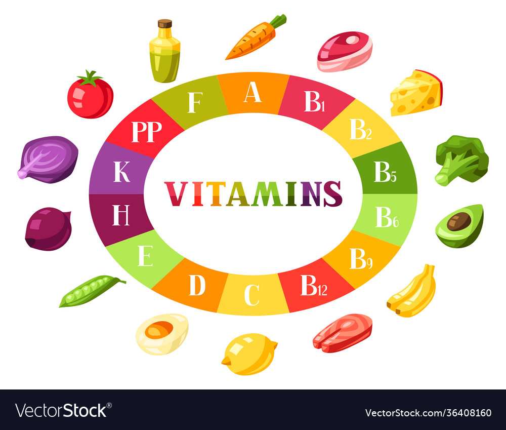 Vitamin Food Sources Chart With Products Icons Vector Image