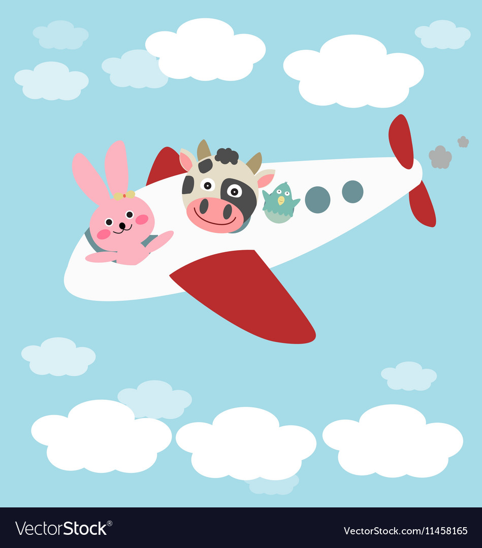 Animals in airplane