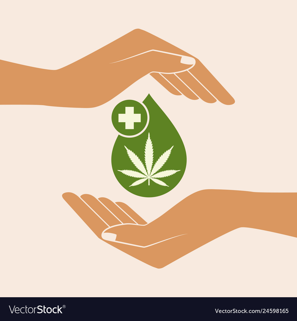 Hand holding oil drop with a marijuana leaf vector image Hand holding oil drop with a marijuana leaf