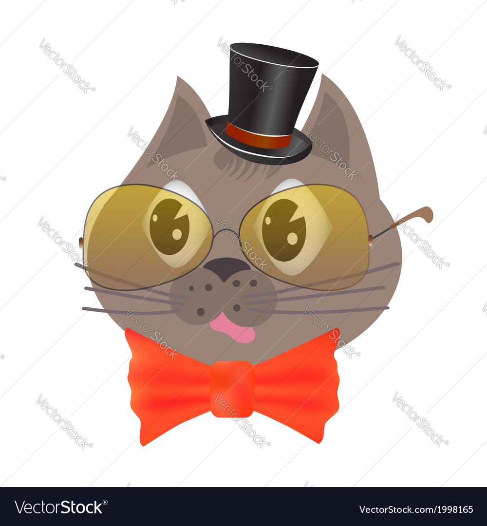 Smart cat