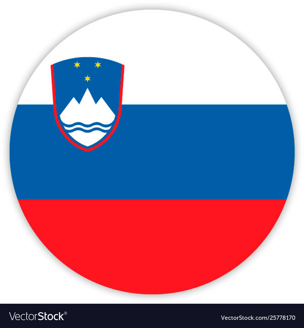Simple round flag vector image Simple round flag