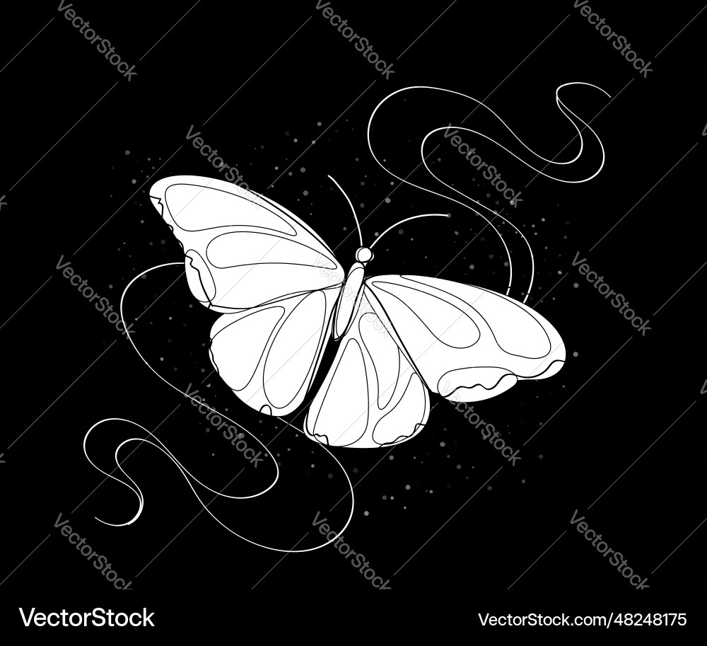 Delicate dreamy butterfly on black background Vector Image