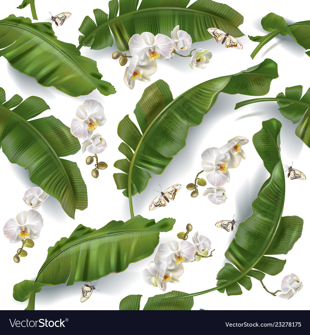 Pattern with banana leaves and orchid vector image Pattern with banana leaves and orchid