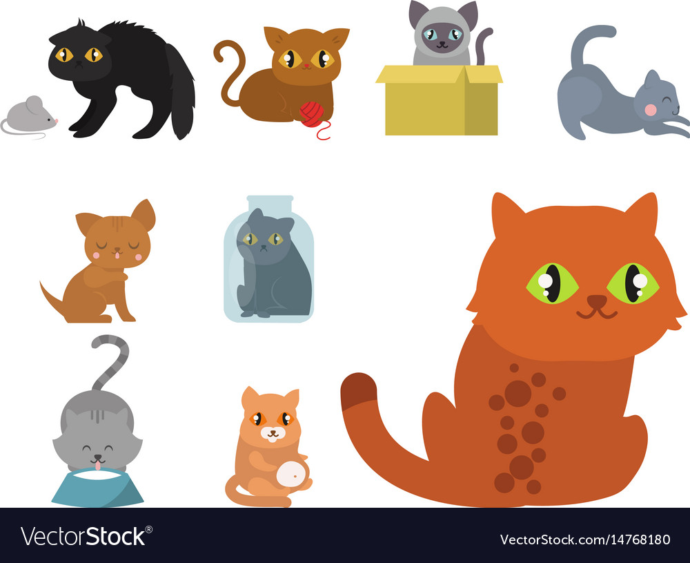 Cute cats character different pose funny animal