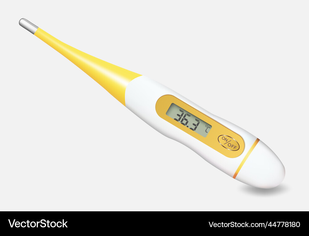 Electronic thermometer on isolated background Vector Image