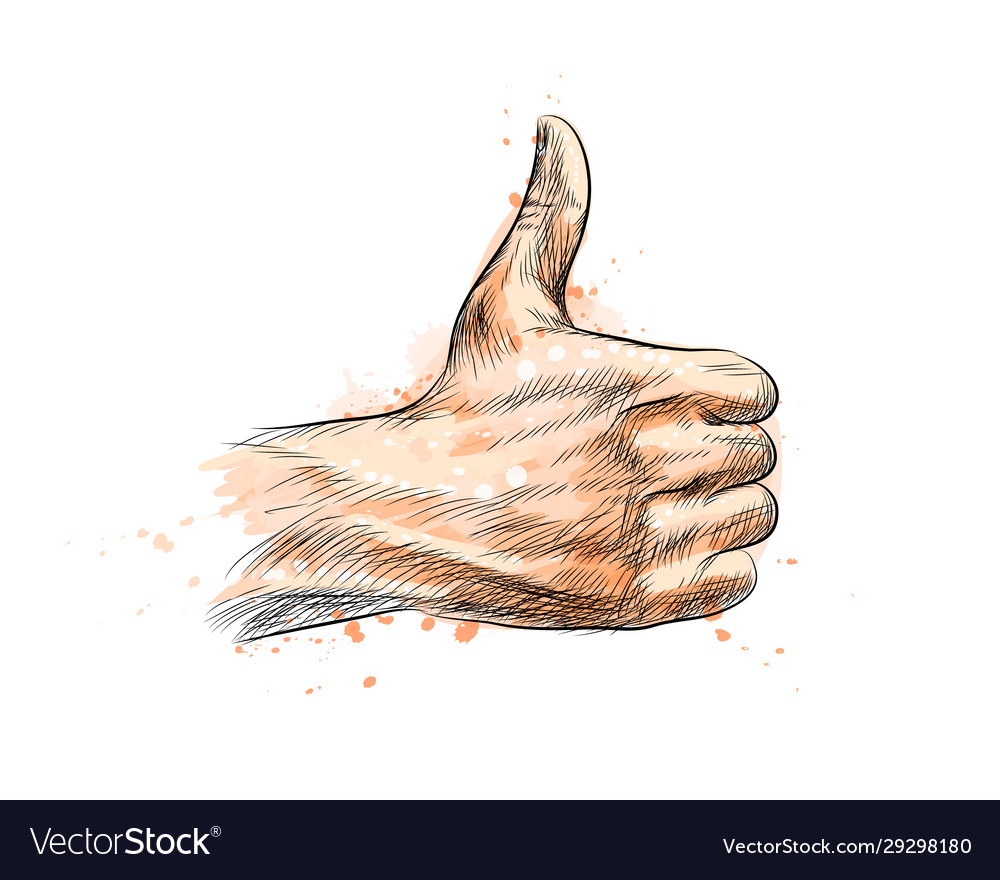 Hand showing symbol like making thumb up gesture Vector Image