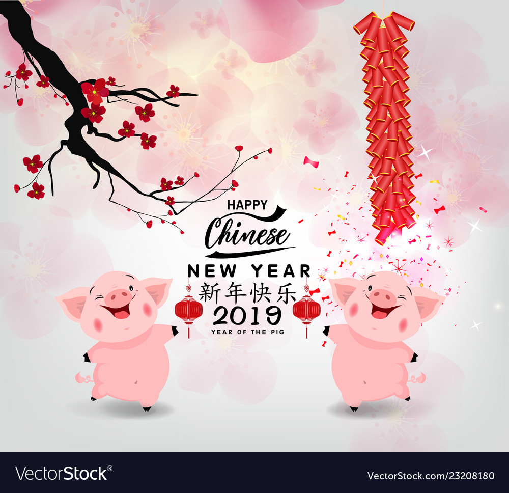 Frohes chinesisches neues Jahr 2019 des Schweinsnars