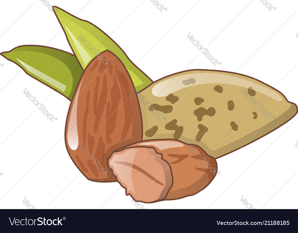 Almond nuts icon cartoon style Royalty Free Vector Image